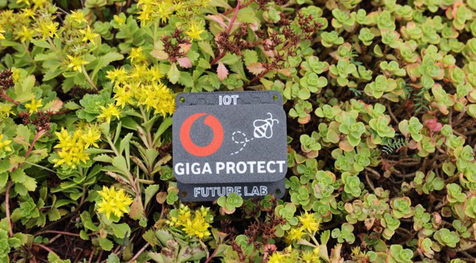  GigaBeeProtect: Die smarte IoT Antidiebstahl-Lösung vernetzt Bienenvölker per IoT.