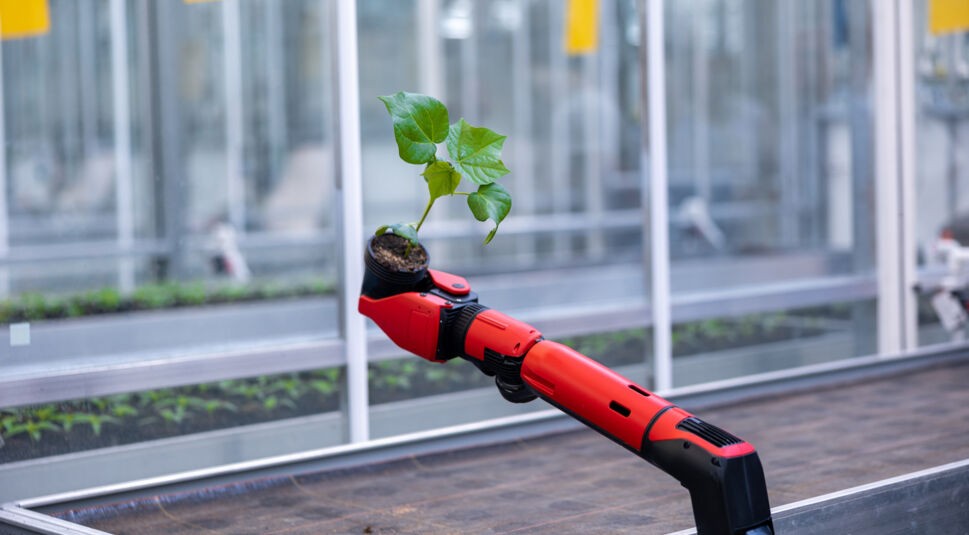 Roboterarm hält Pflanze