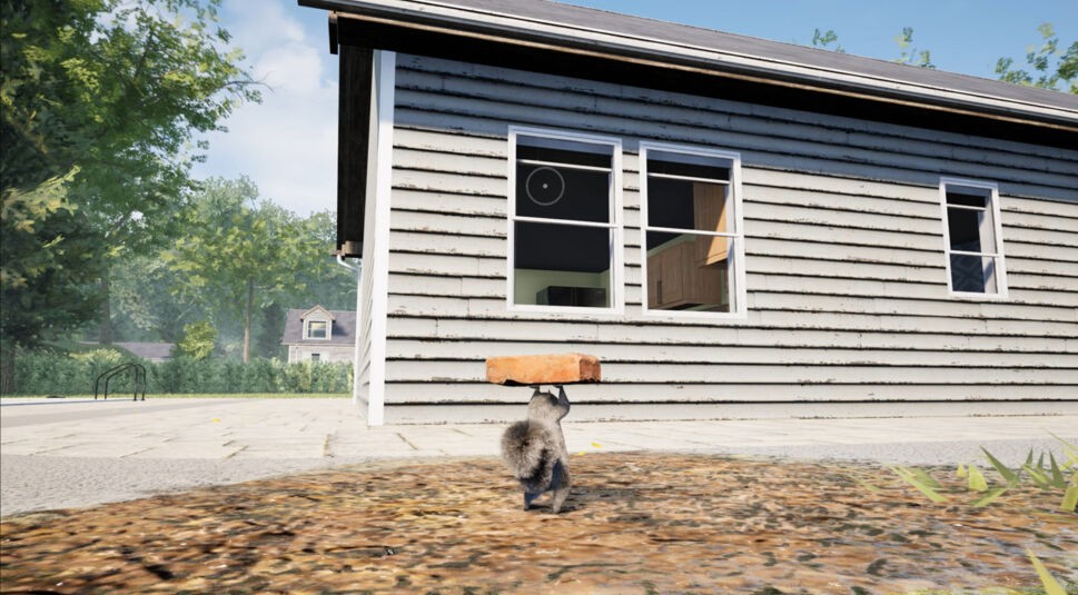 Ein Eichhörnchen trägt ein Backstein