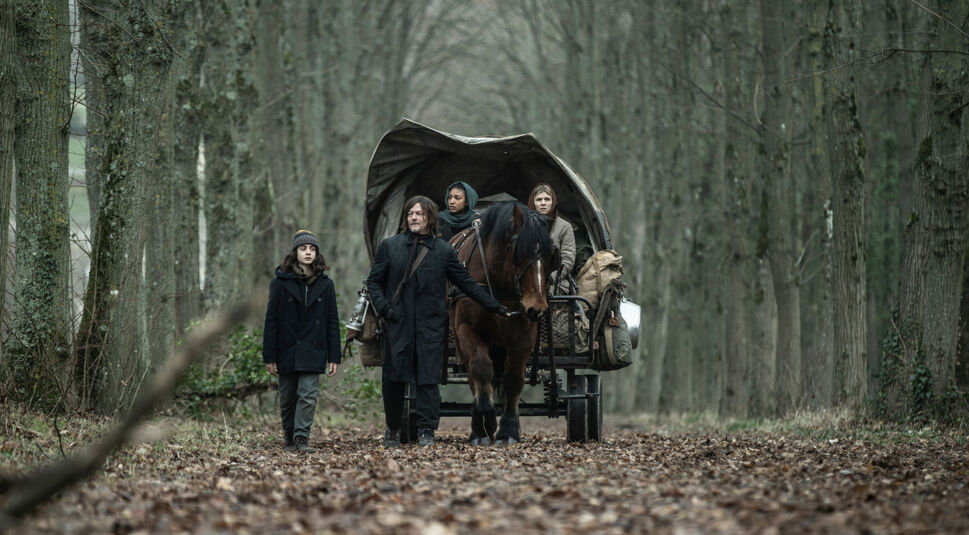 norman reedus als daryl dixon