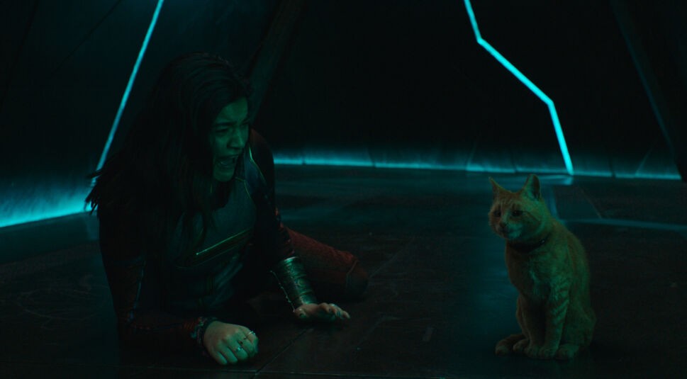 Ms. Marvel schaut schreiend eine Katze an.