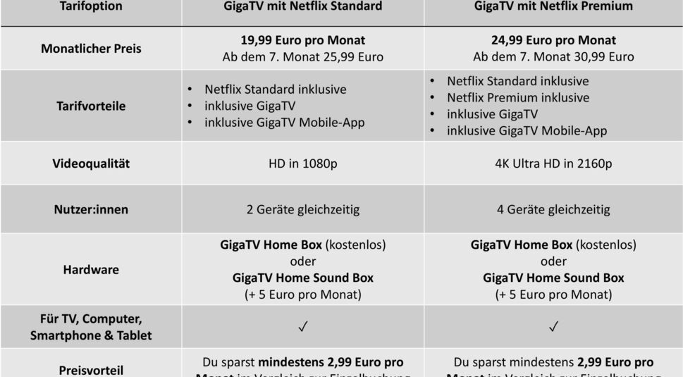 GigaTV inklusive Netflix Abo Übersicht 