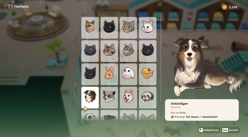 Übersicht über alle Haustiere in Coral Island