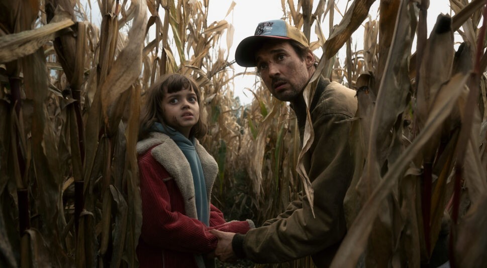 Sven und Charlie im Maisfeld