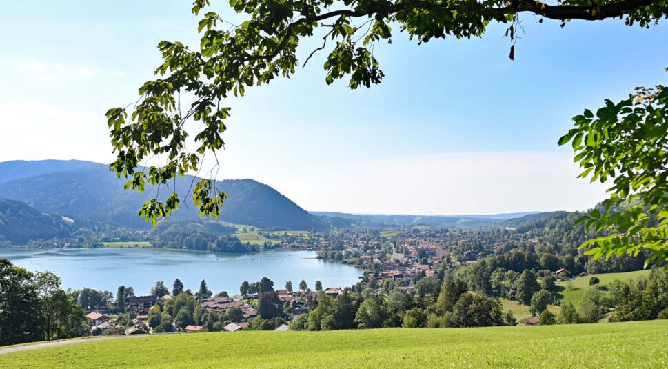 Blick auf den Schliersee, eine Wiese und der Ast eines Baumes im Vordergrund.