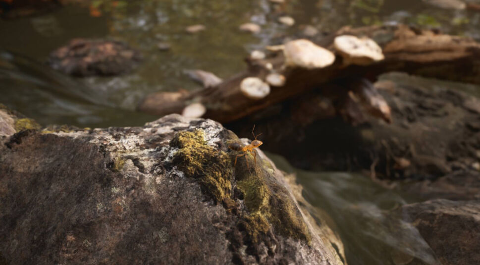 Eine Ameise aus dem Spiel Empire of the Ants sitzt auf einem Stein