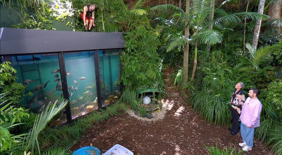 Auf dem Bild aus dem Dschungelcamp 2026 ist Gil bei der Unterwasserprüfung „Dschungel-Argh!Quarium“ zu sehen. Er steht oben auf einem gläsernen Aquarium, darunter schwimmen Fische. Umgeben von dichtem Dschungel beobachten zwei Moderatoren gespannt die Szene. Die Stimmung wirkt nervenaufreibend, konzentriert und abenteuerlich. Die Konstruktion und die Höhe verstärken den Druck und die sichtbare Anspannung des Kandidaten.