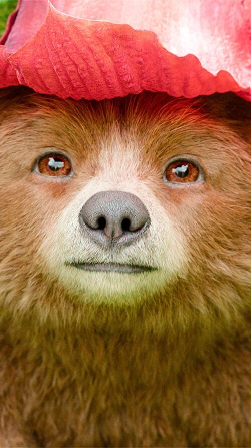 Vom ESC bis Peru: Diese 5 GigaTV-Highlights erwarten Dich im Mai