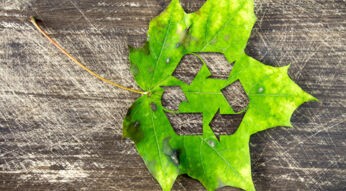 Blatt auf dem Boden mit stilisiertem Recyclingsymbol