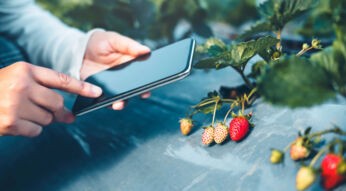 Mache Deinen Garten fit mit Smart Gardening
