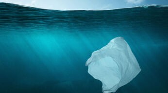 Planet or Plastic? Weniger Plastik nutzen