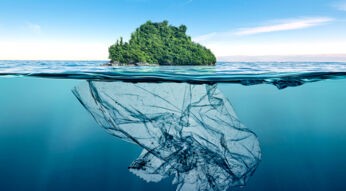 Weg mit dem Plastik: Diese Apps und Technologien tun etwas für die Umwelt