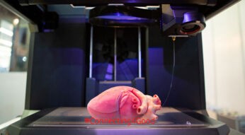 3D-Druck in der Medizin: Erstes Herz aus menschlichen Zellen