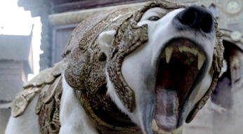 His Dark Materials: Das musst Du zur neuen Serie wissen.