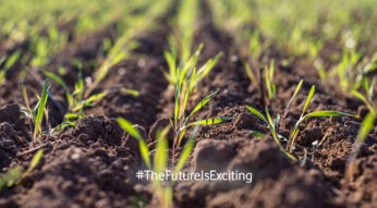 Unkrautroboter machen nachhaltigen Ackerbau erschwinglich