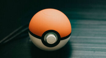 Pokéball für Pokémon.