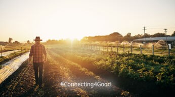 Landwirt geht durch seine Felder, die mit der App gegen Pflanzenschäden überwacht werden