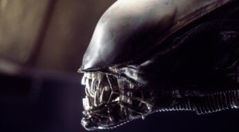Das Alien im gleichnamigen Film von Regisseur Ridley Scott.
