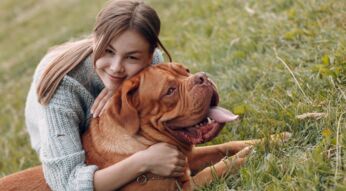 Mensch und Hund: Die besten Hunde-Apps