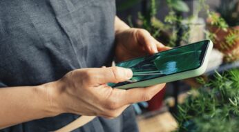 Frau schaut auf einen Hintergrund auf ihrem Handy.