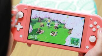 Animal Crossing: New Horizons an der Switch