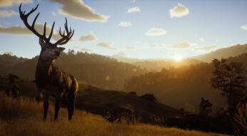 Ein Hirsch in Way of the Hunter