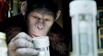 Ein Affe im Chemielabor.