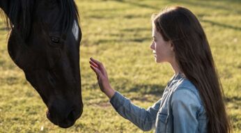 "Black Beatuy" bei Disney+