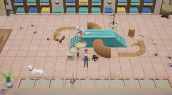 Coral Island: Haustiere adoptieren und Nutztiere kaufen – so geht's