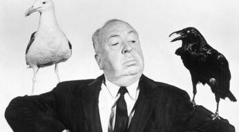 Im Artikel zu Alfred Hitchcocks besten Filmen siehst du ein Brustbild von Alfred Hitchcock. Das Bild ist schwarz-weiß. Hitchcock hat eine Halbglatze und trägt einen Anzug mit Krawatte. Er hat seine Arme angehoben sodass zwei Voegel auf seinen Oberarmen sitzen. Links im Bild ist eine weiße Möwe, rechts im Bild ein schwarzer Rabe auf seinem Arm gelandet. Hitchcock hat den Kopf erhoben. Er schaut mit kritischem Blick nach unten rechts im Bild. Der Hintergrund des Porträts ist weiß.
