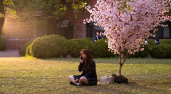 Auf dem Bild in dem Artikel zu XO, Kitty Staffel 3 sitzt Kitty, gespielt von Anna Cathcart, auf einer Wiese unter einem blühenden Kirschbaum. Sie trägt eine Schuluniform und telefoniert mit nachdenklichem Blick. Die Szene ist in warmes Sonnenlicht getaucht, was eine melancholische, aber hoffnungsvolle Stimmung erzeugt. Im Hintergrund sind Büsche, eine Schule und einige Schüler zu sehen.