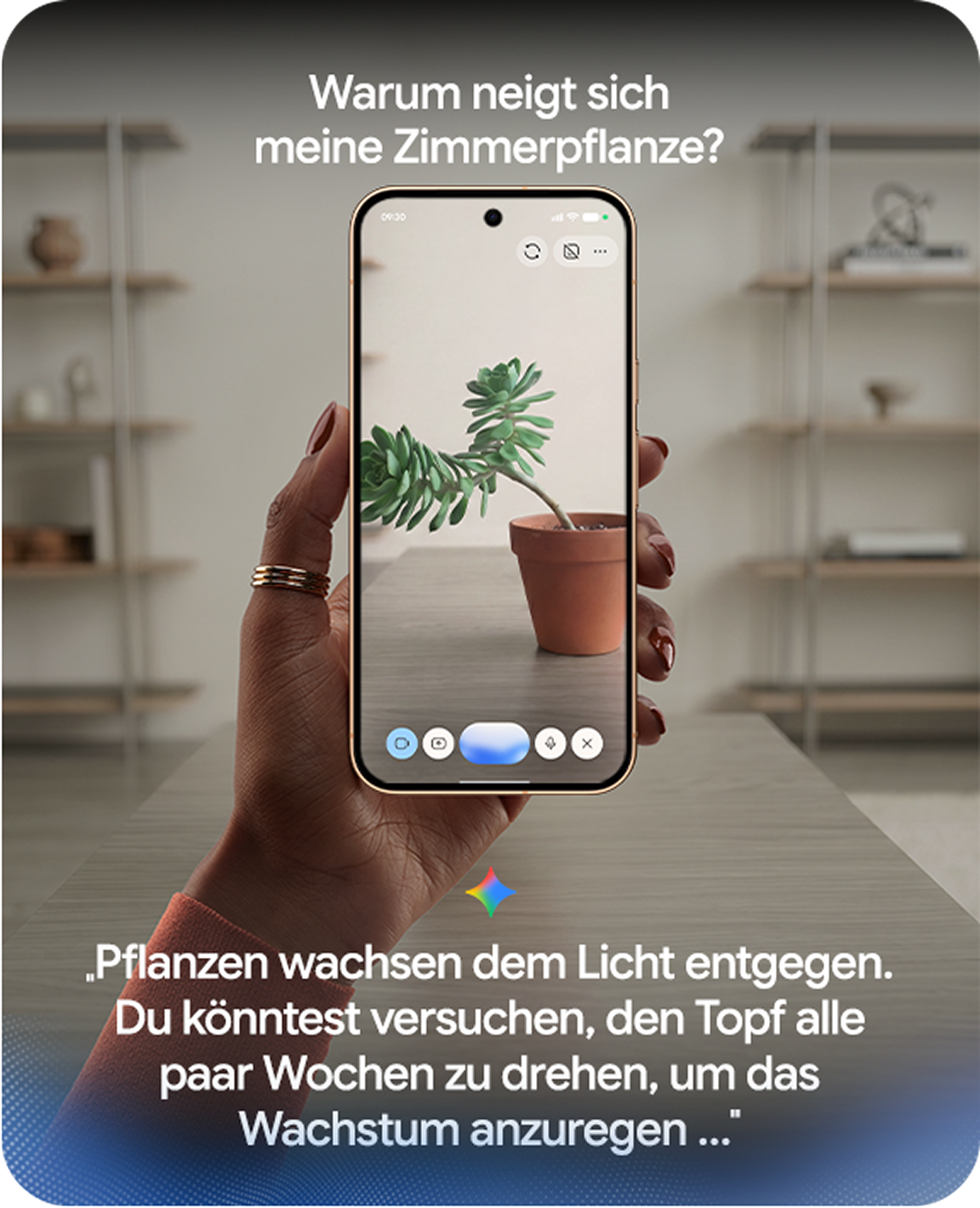 Bild einer Hand, die das Google Pixel 11 Pro h�lt und auf dessen Display eine Zimmerpflanze zu sehen ist.