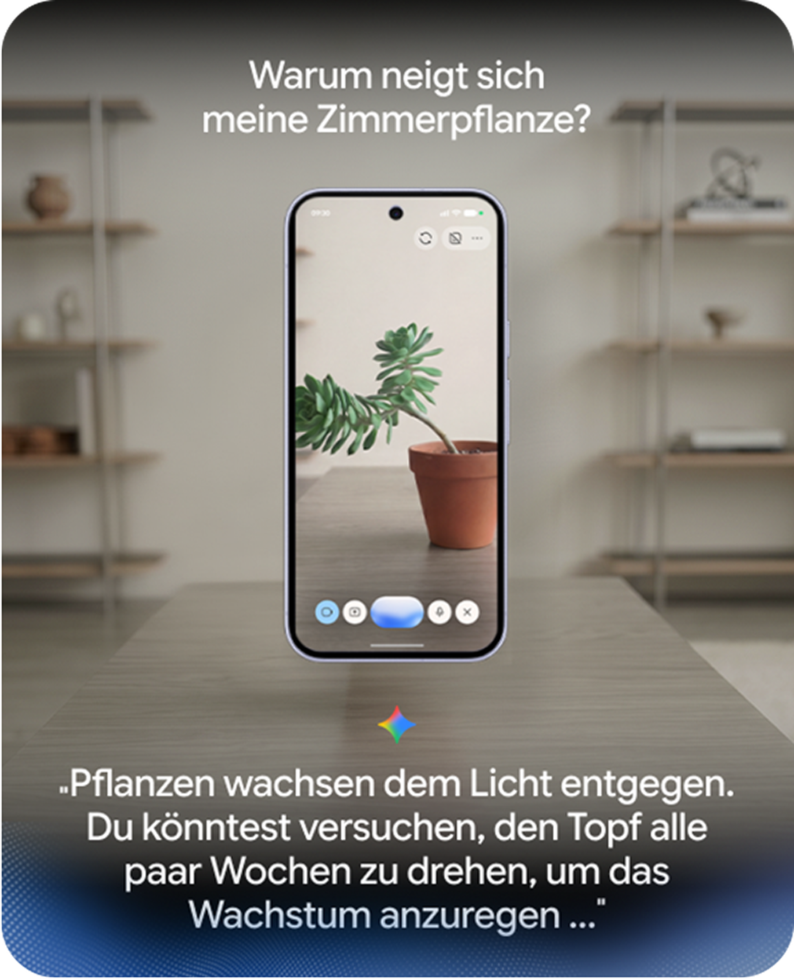 Abbildung einer Hand, die das Google Pixel 11 h�lt und auf dessen Display eine Zimmerpflanze zu sehen ist.