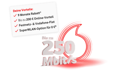 250 Mbit/s Geschwindigkeit – DSL & Kabel-Internet für Dein Zuhause
