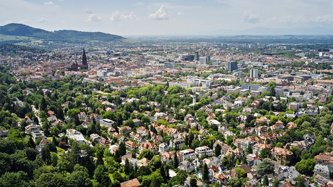 Umweltschonender Netzausbau