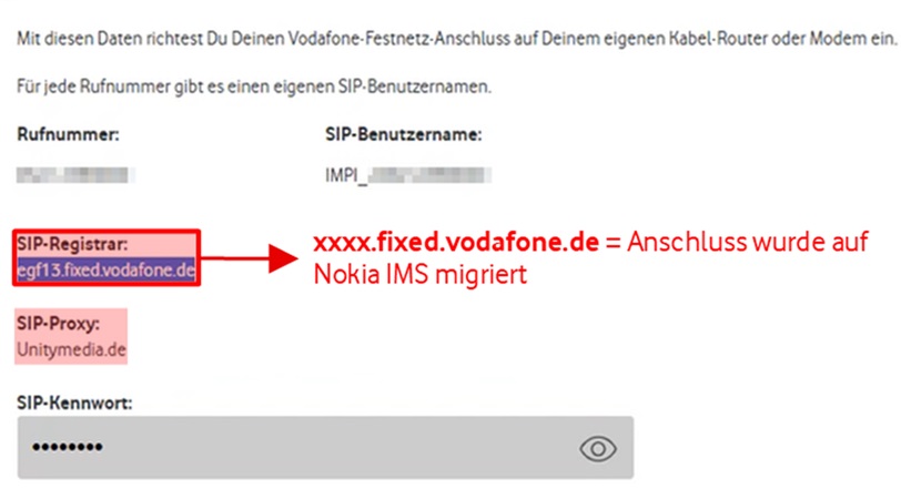 Beispielbild von SIP-Daten in MeinVodafone