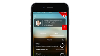 Volle Kontrolle &uuml;ber Kosten und Verbrauch