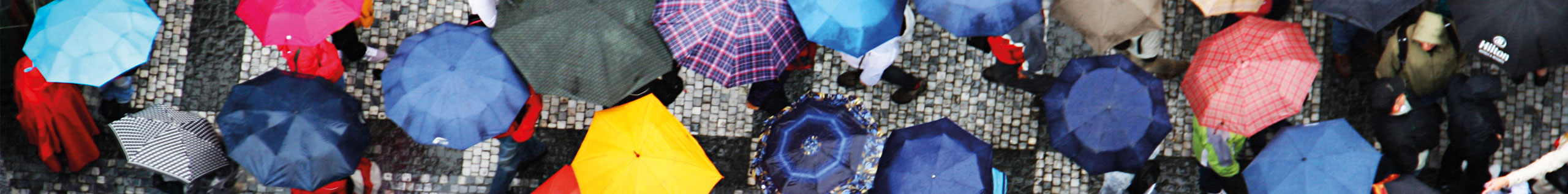 Bunte Regenschirme in Makroaufnahme