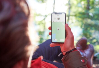 Eine Person sitzt im Wald und hält ein Handy in der Hand