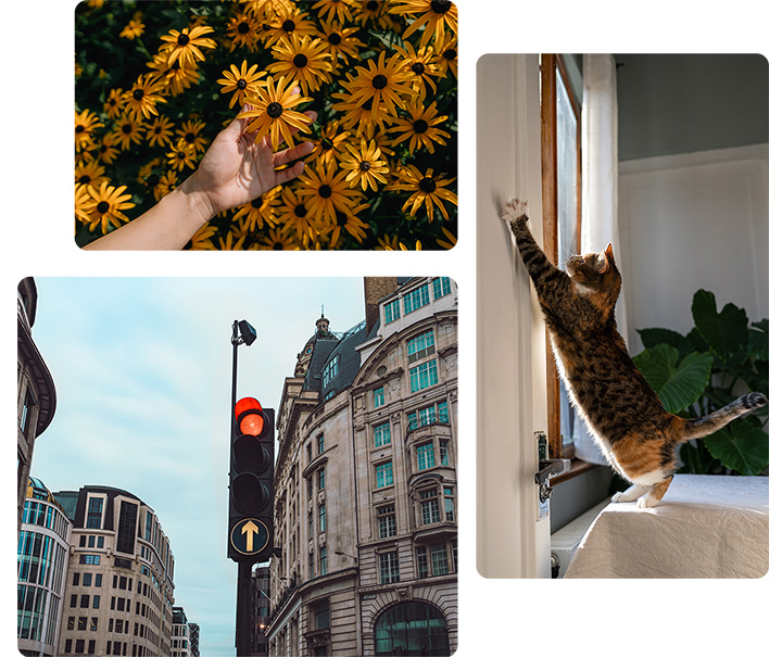 Zu sehen ist die Nahaufnahme einer Hand, die im hellen Sonnenlicht eine bl�hende Blume �ber ein gelbes Blumenbeet h�lt. Ein weiteres Foto zeigt eine Katze, die sich mitten in der Bewegung nach einer T�r streckt. Das dritte Bild zeigt eine st�dtische Stra�e mit Geb�uden und einer Ampel. Diese Zusammenstellung veranschaulicht die Bildqualit�t in unterschiedlichen Aufnahmesituationen.