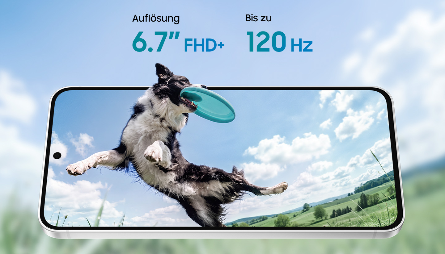 Ein Galaxy S26 FE ist von vorne und leicht nach hinten geneigt im Querformat zu sehen. Das Display zeigt einen Hund, der im Sprung einen Frisbee f�ngt. Der Kopf des Hundes scheint �ber den Rand des Displays hinauszuragen, w�hrend der unscharfe Hintergrund das Bild weiterf�hrt und so das immersive Display des Smartphones unterstreicht. Aufl�sung: 6,7 Zoll FHD+. Bis zu 120 Hz.
